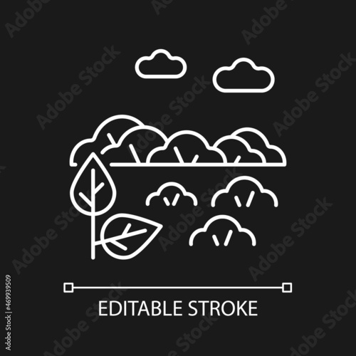 Shrubland white linear icon for dark theme. Scrubland. Bush growing area. Bushwood rocky terrain. Thin line customizable illustration. Isolated vector contour symbol for night mode. Editable stroke