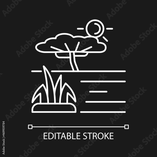 Savanna white linear icon for dark theme. African woodland. Plain land with separated trees. Thin line customizable illustration. Isolated vector contour symbol for night mode. Editable stroke