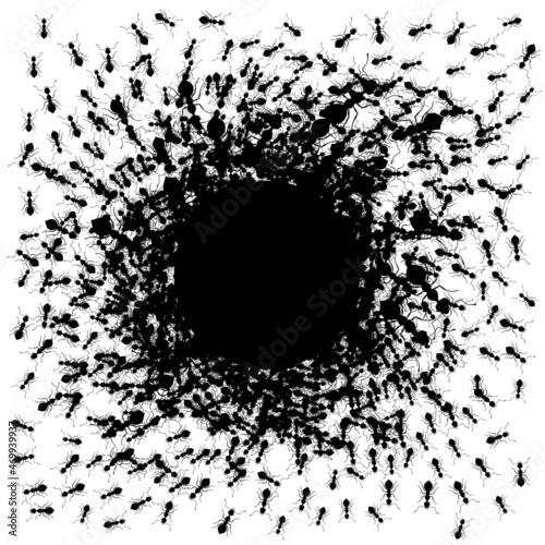 Circle chaotic running ants isolated on white background. Teamwork and cooperation concept in wildlife.