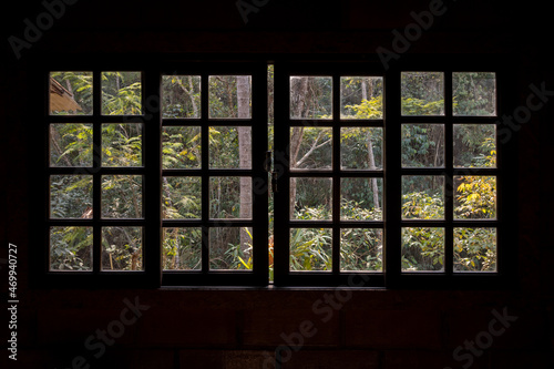 A window with Atlantic Forest view, viewed form the inside of a country home, Rio de Janeiro, Brazil © AlessandraRC