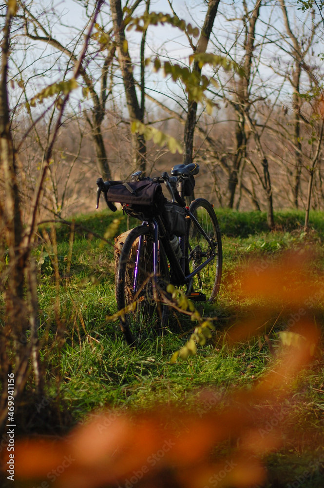Road bike among trees, in autumn