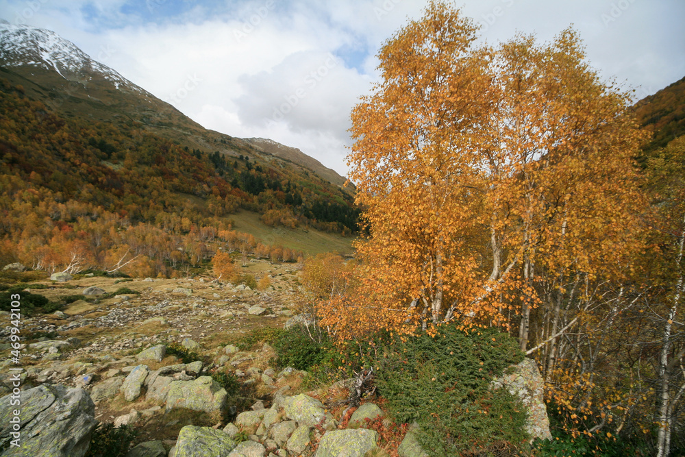 Autumn in the Caucasus mountains, Arkhyz, Russia.