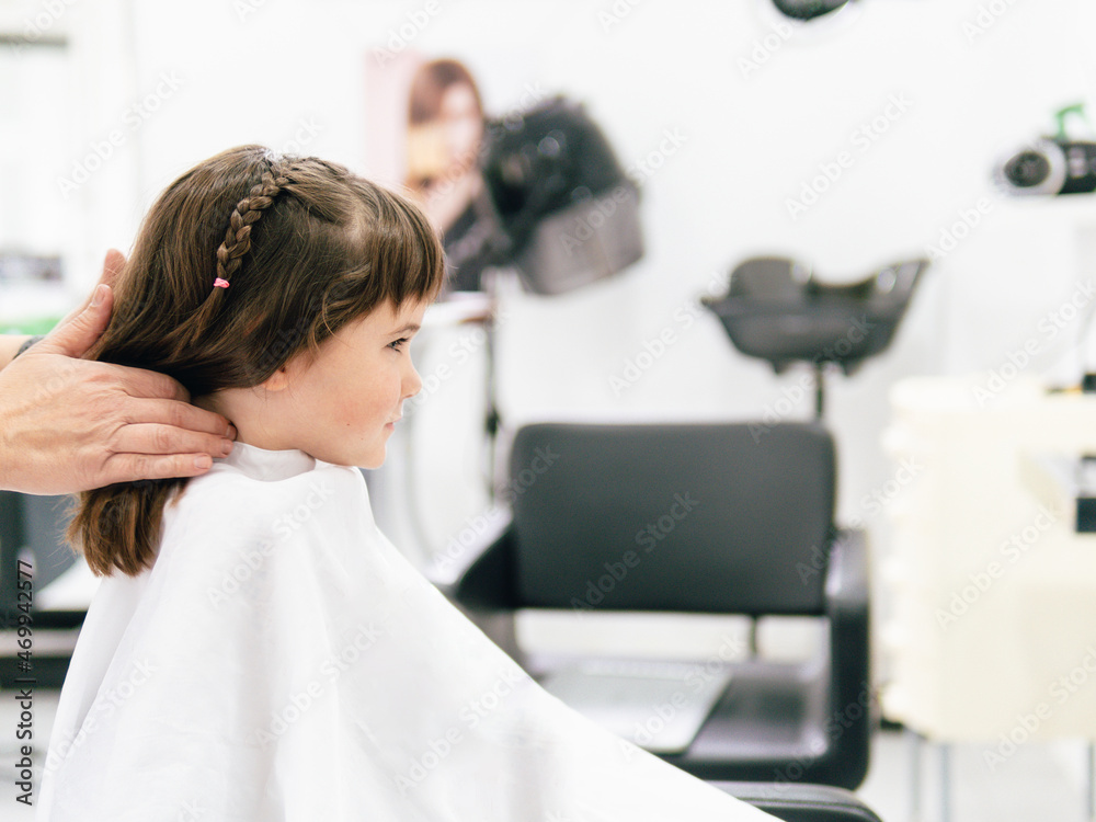 Professional hairdresser doing hairstyle to girl in salon Professional hairdresser doing hairstyle to girl in salon