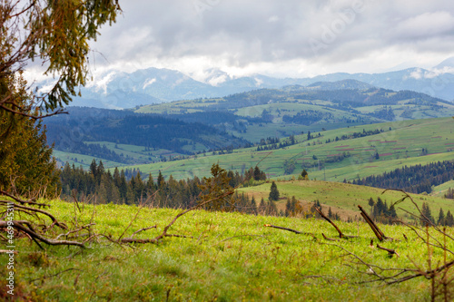 Mountain landscape of spring Carpathians in early spring with low clouds and fresh green grass on the hills. © Sergii