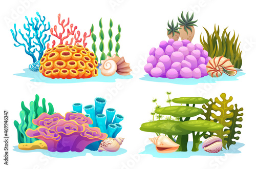 Set of underwater coral reefs, algae, seaweed and seashells in various types cartoon illustration