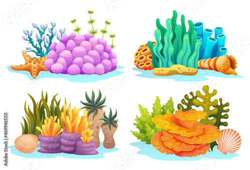 Fototapeta Naklejka Na Ścianę i Meble -  Collection of coral reefs, algae, seaweed and seashells in various types cartoon illustration