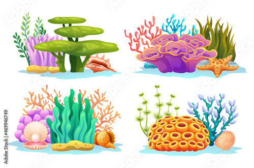 Colorful undersea coral reefs, algae, seaweed and seashells in various types cartoon illustration