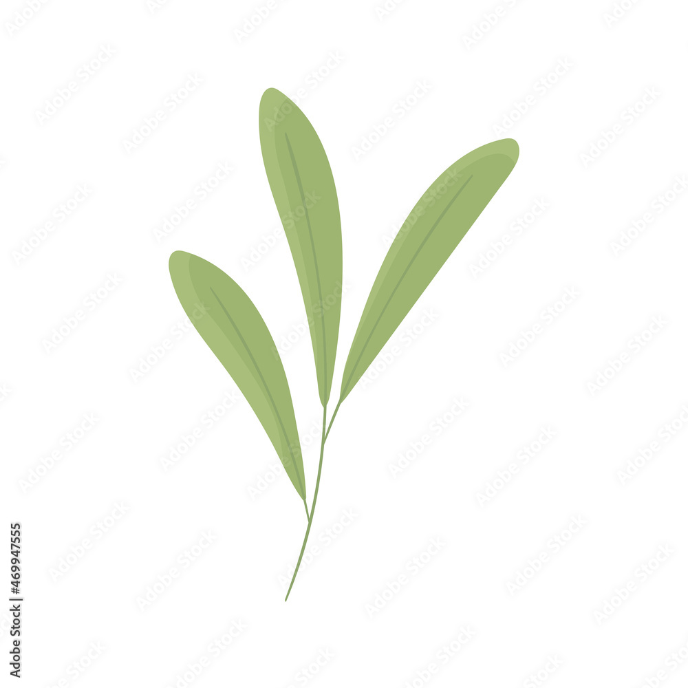 leaves nature icon
