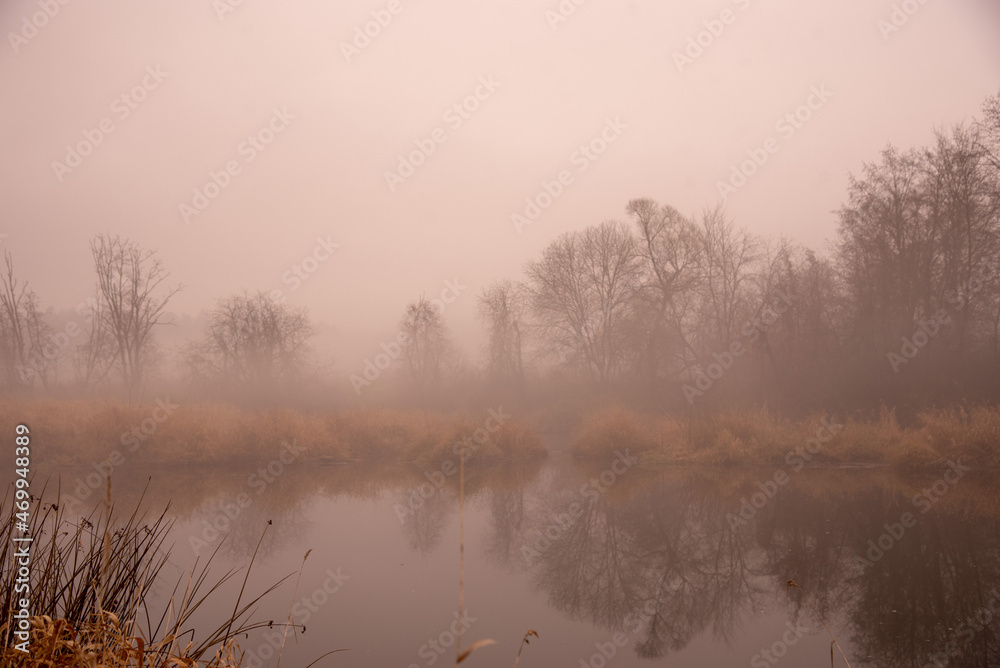 Fototapeta premium A thick fog rises over the river on a cloudy November day.