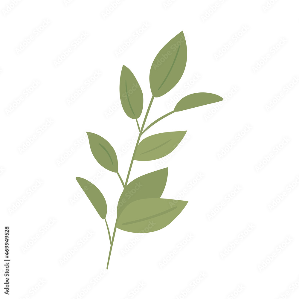 Fototapeta premium branch plant botanical