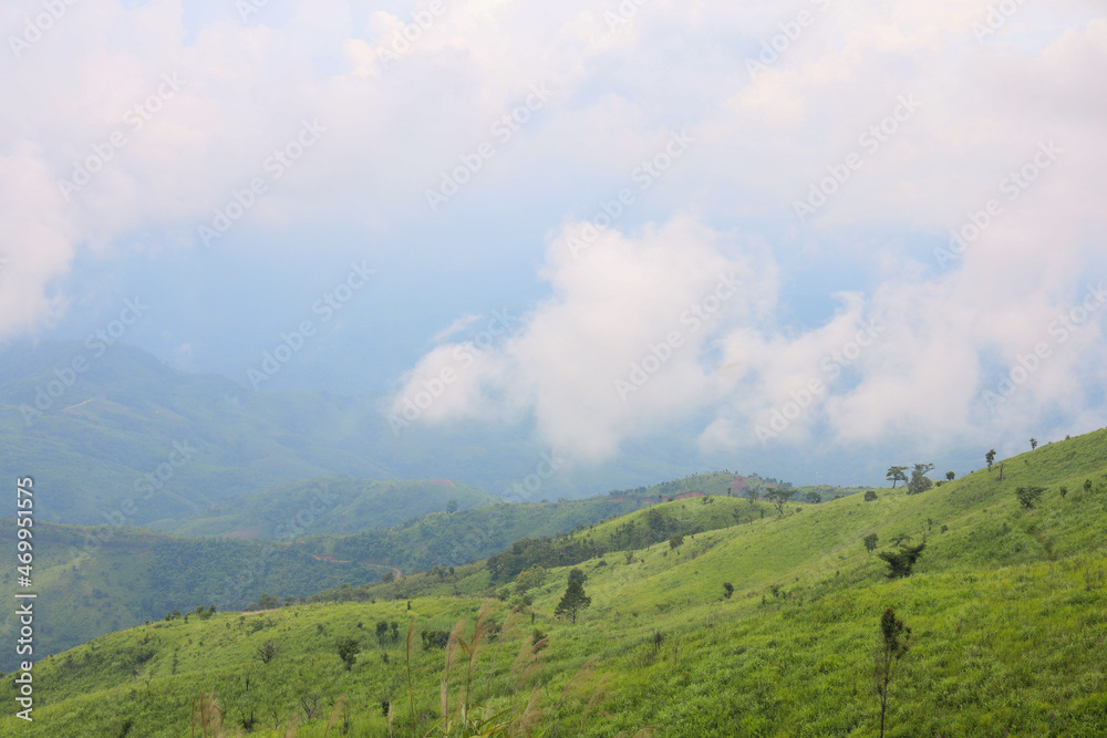 view of landscape is green grass on nature mountain in rainny season at thailand