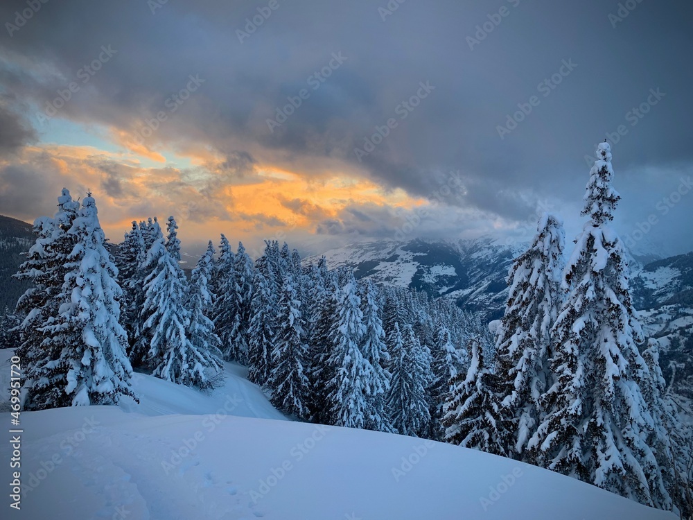 Coucher de soleil à la Rosière en Savoie avec de la neige fraîche sur les sapins