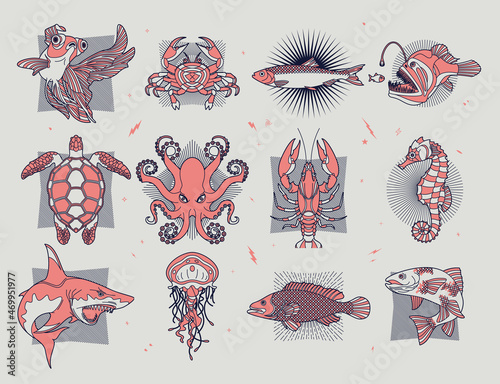 Abstract fish and sea life illustration