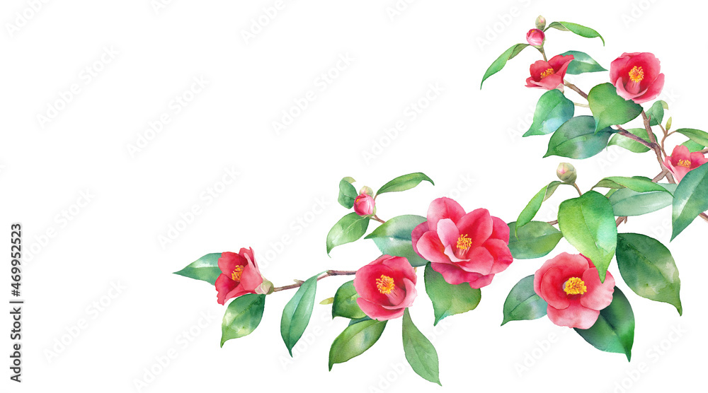 冬の花 赤い椿の水彩イラスト 右から伸びる枝 ヤブツバキのバナー背景 Illyustraciya Stock Adobe Stock 冬の花 赤い椿の水彩イラスト 右から伸びる枝 ヤブツバキのバナー背景 Illyustraciya Stock Adobe Stock