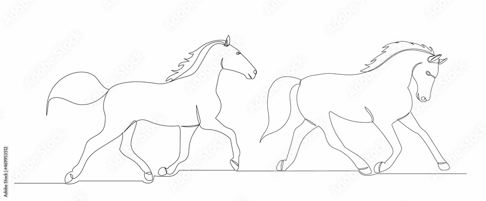 horse runs one line drawing isolated on white background horse runs one line drawing isolated on white background