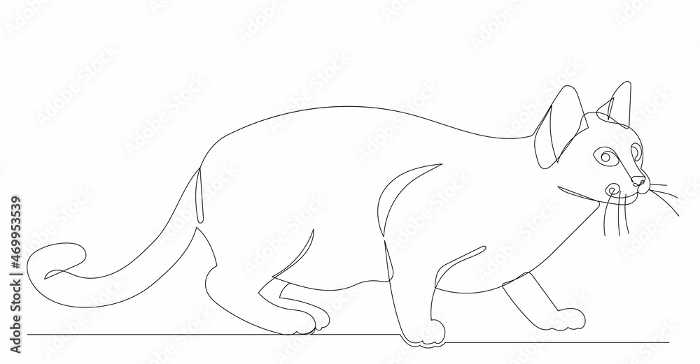 cat drawing one line isolated, vector