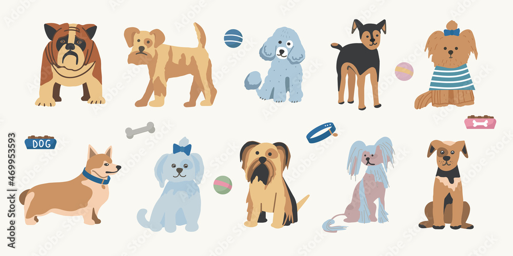 Obraz premium Set of different breeds of pet dogs. Print for printing on children's clothing. Vector flat illustration