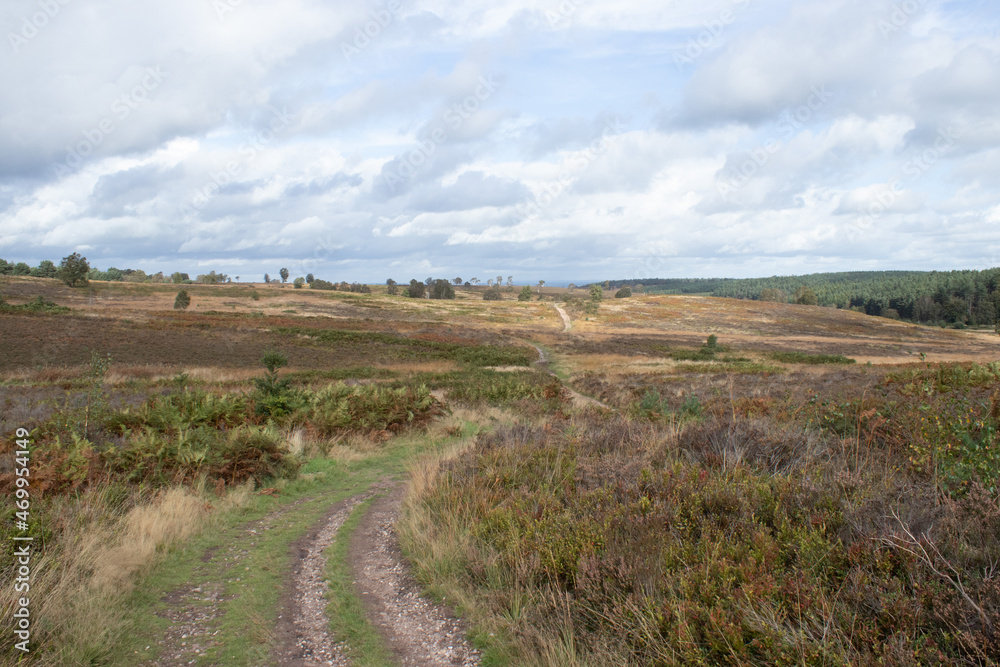 Fototapeta premium landscape with a clouds