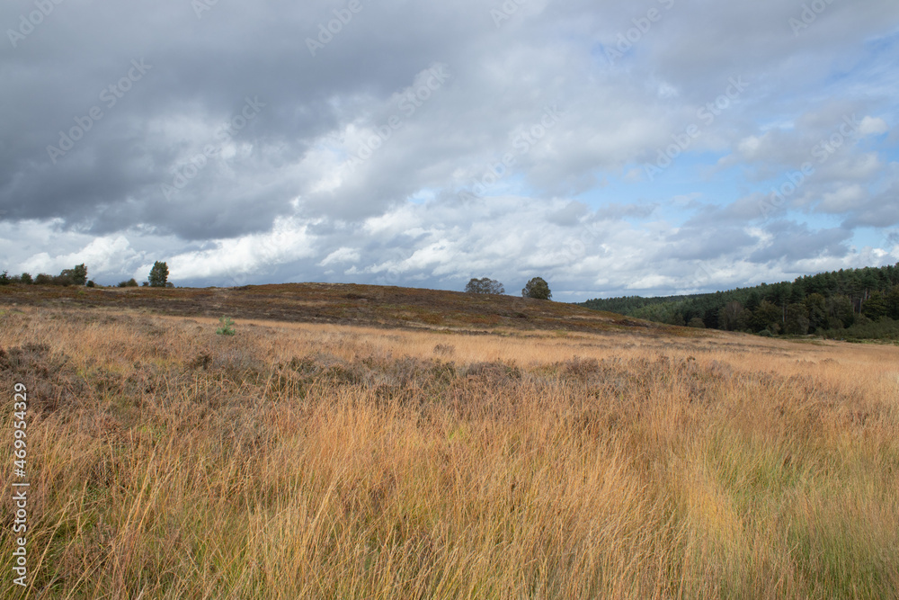 Obraz premium landscape with clouds and sky