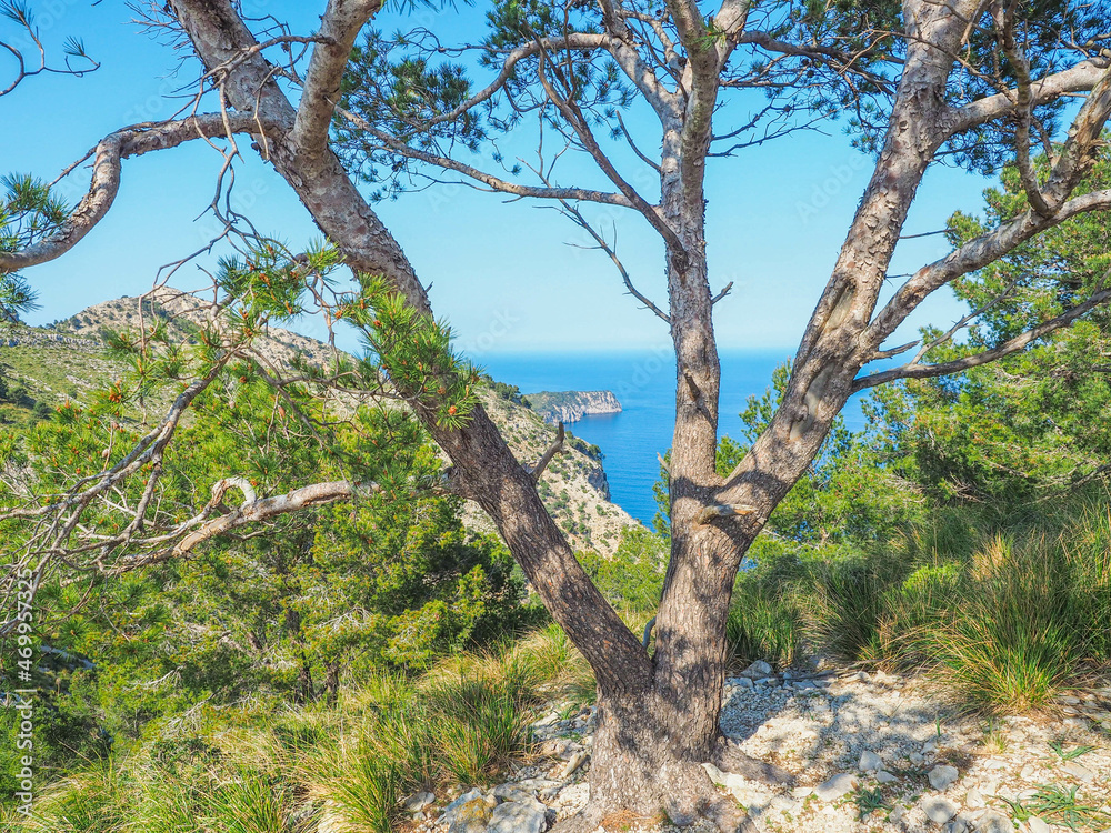 Wanderung in der Region Alcudia - Mallorca