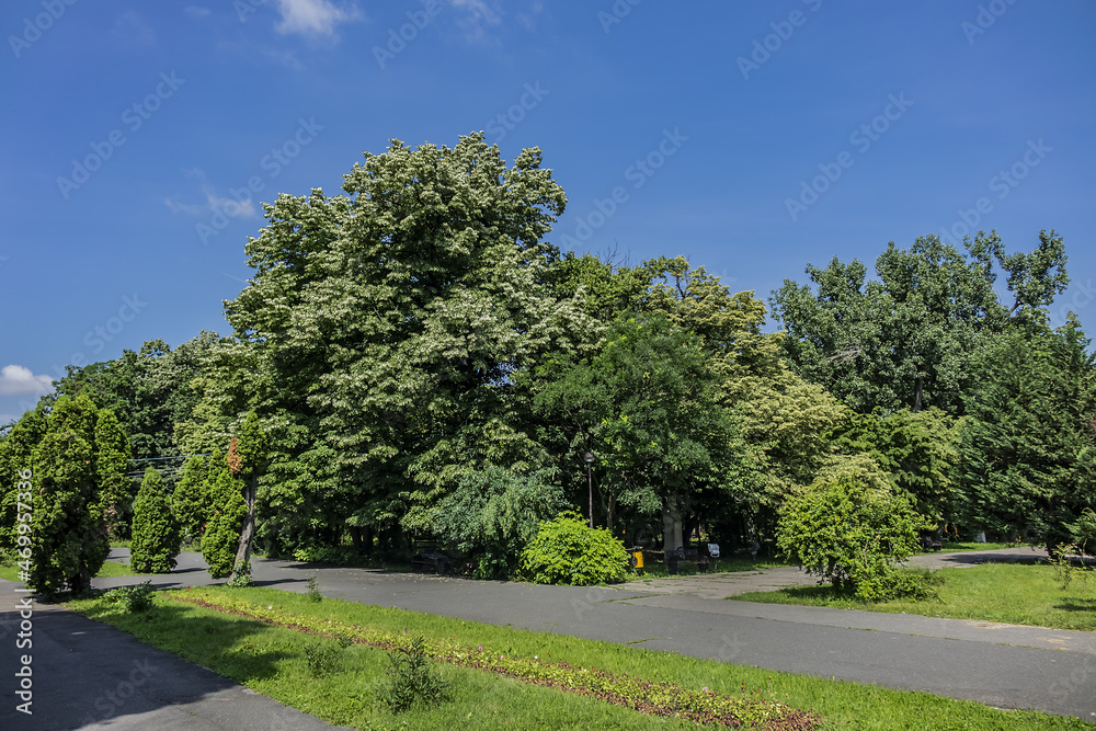 Picturesque King Michael I Park (Parcul Picturesque King Michael I Park (Parcul