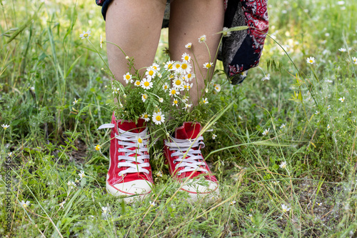 upturned skirt and naked legs in red sneakers with a bouquet of white camomiles in green grass photo