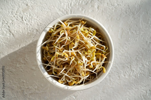 Sprouted fenugreek on bright background with sunlight