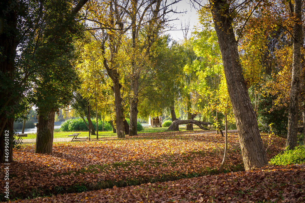 Wonderful autumn landscape. Beautiful romantic city park with autumn leaves on the ground. City park of Bonito, located in Entroncamento - Portugal Wonderful autumn landscape. Beautiful romantic city park with autumn leaves on the ground. City park of Bonito, located in Entroncamento - Portugal