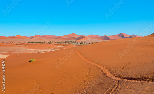 Big orange sand dune with blue sky - Sossusvlei, Namib desert, Namibia, Southern Africa
