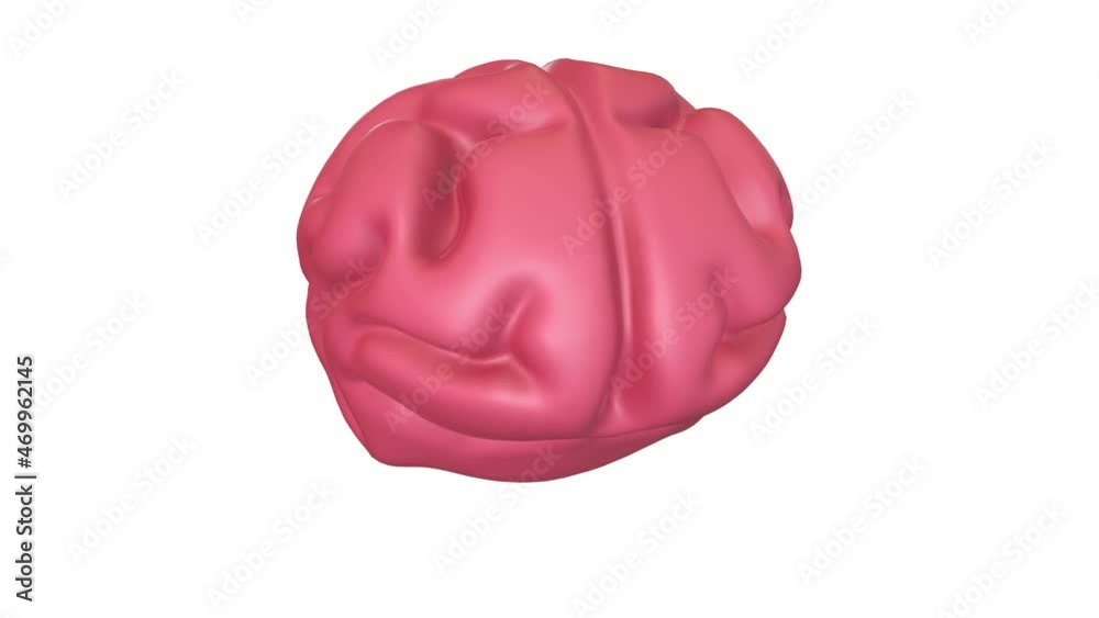 Human brain Anatomical Model. Motion Animation. Video available in 4K FullHD and HD render footage Human brain Anatomical Model. Motion Animation. Video available in 4K FullHD and HD render footage