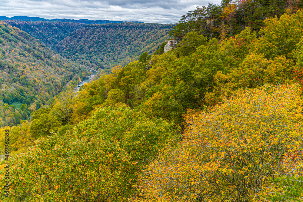 Fall Color on Beauty Mountain, New River Gorge National Park, West Virginia, USA