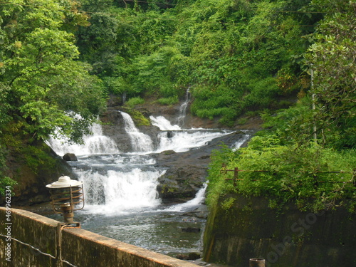 waterfall in the forest