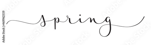 SPRING black vector brush calligraphy banner with swashes © treenabeena