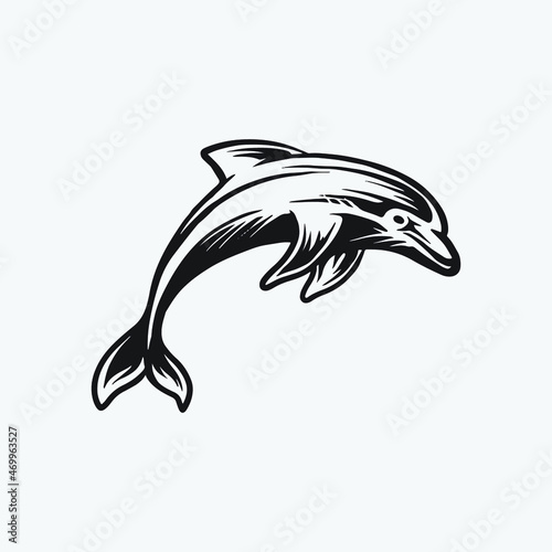 Dolphin drawing vector illustration.