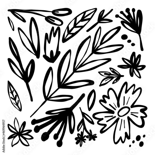 Cute doodle, sketch, line art flowers and plants set. Monochrome leaves, branches, blooming flowers.