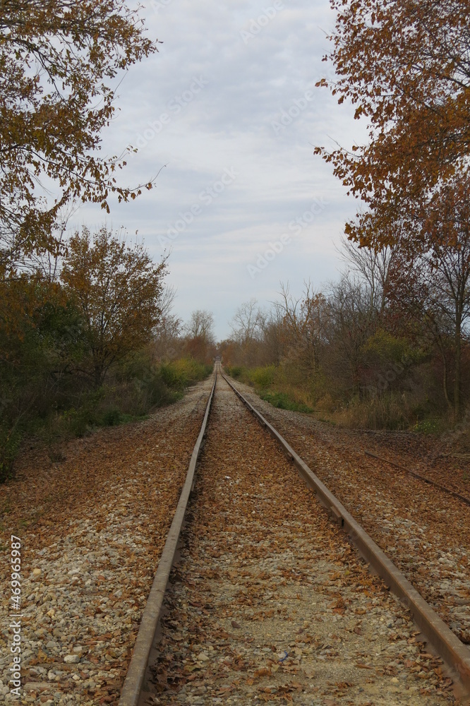 Fototapeta premium Vertical Photo of Railroad Tracks Disappearing into Horizon with Ties Covered in Brown and Orange Fallen Autumn Leaves