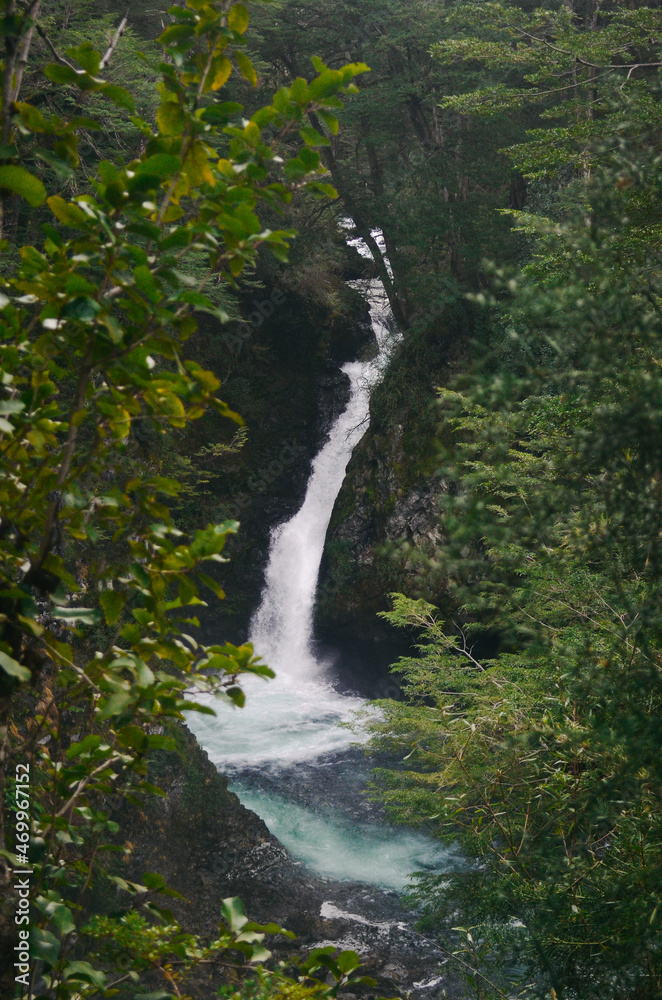 Waterfall in Bariloche, Argentina | Nature Travel Photography