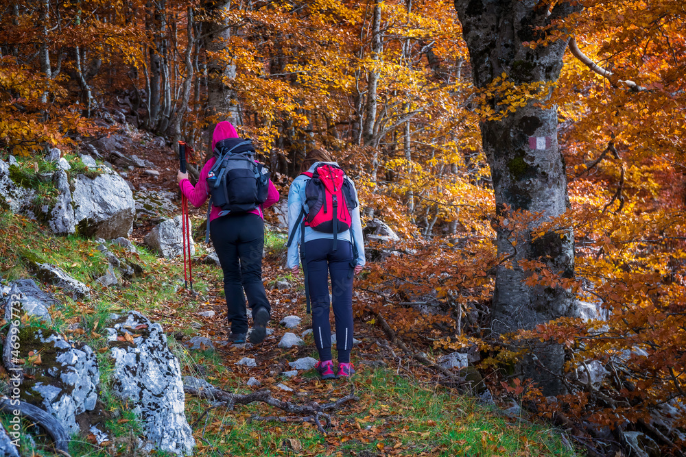 Hikers on the mountain explore. Hikers on the mountain trail explores the area during the autumn season.