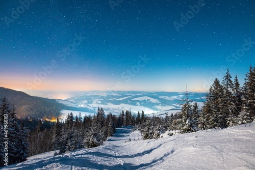 Beautiful nature starry sky with snowy fir © YouraPechkin