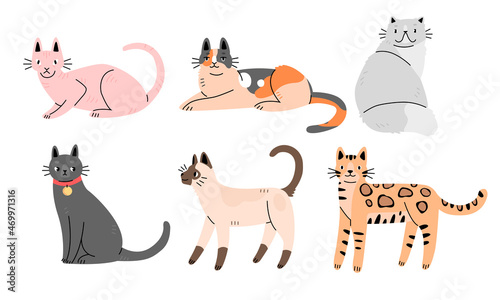 Fototapeta Naklejka Na Ścianę i Meble -  Set of cute cats of different breeds in flat cartoon style. Collection of characters of cats.