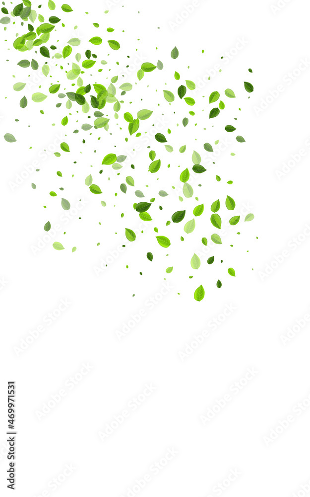 Forest Greens Fresh Vector White Background. Wind Forest Greens Fresh Vector White Background. Wind