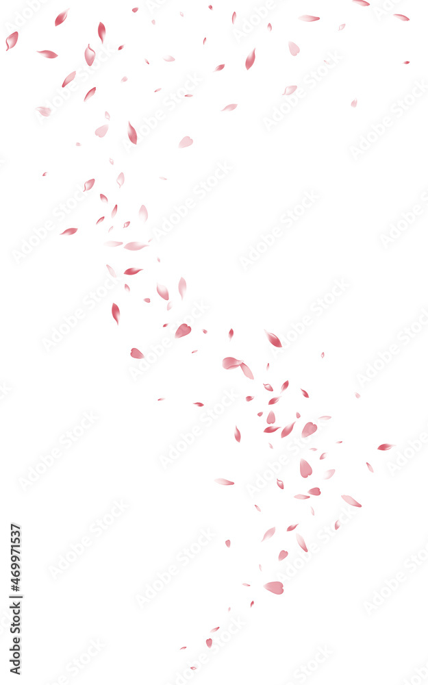 Beautiful Sakura Flying Vector White Background.