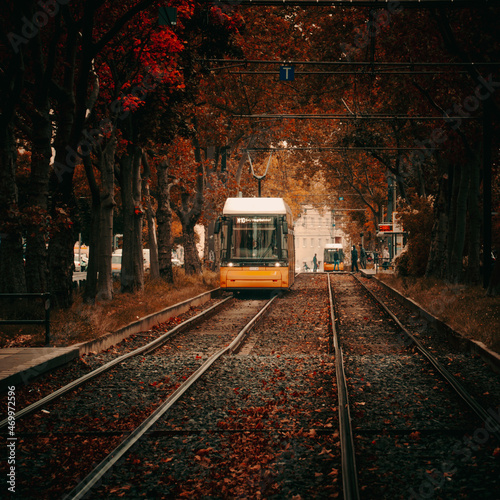 Autumn tram