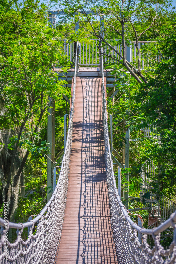 Obraz premium A long canopy walk in Santa Ana NWR, Texas