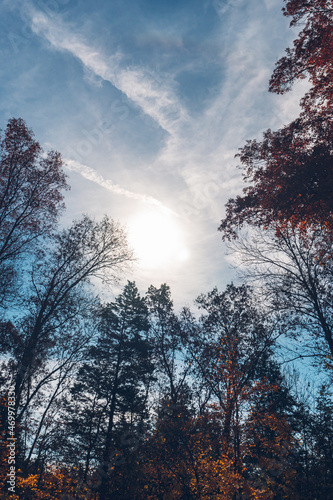 A Trek through Autumn