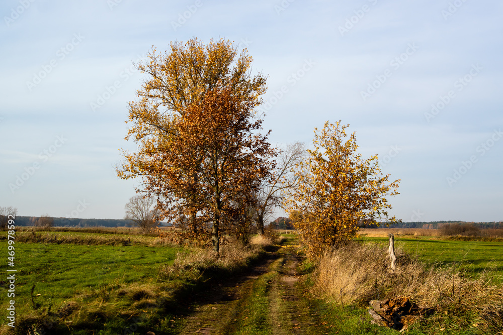 Złota polska jesień na Podlasiu, Polska