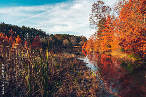 Pond in Autumn