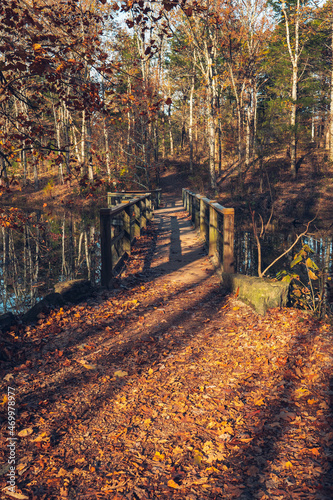 Bridge Across