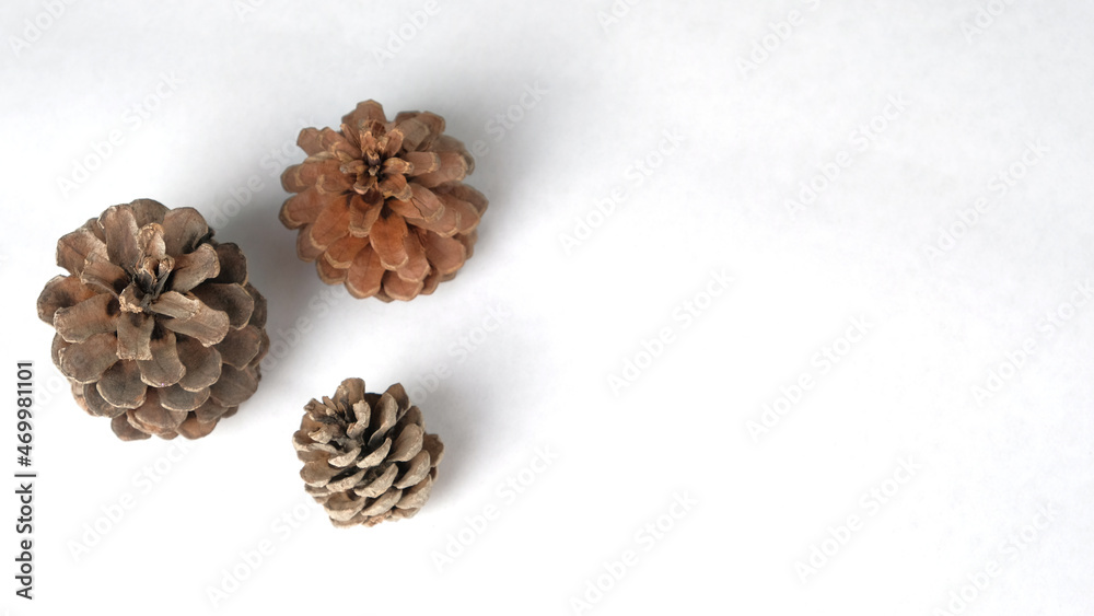 Pine cones as natural rustic element for fall background decoration with copy space. Pine cones as natural rustic element for fall background decoration with copy space.