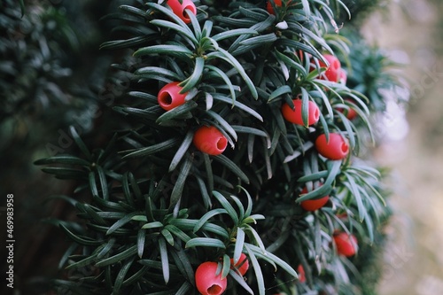 Processed with VSCO with k3 preset